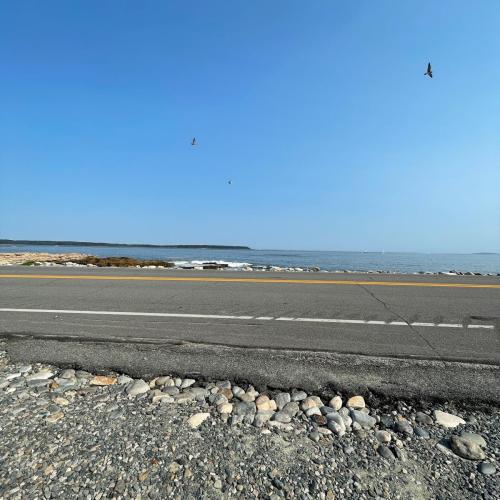 AE8FB207-26D0-45AC-A66A-E7C84D271AAB