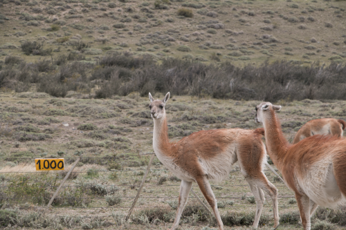 Torres del Paine, Chile