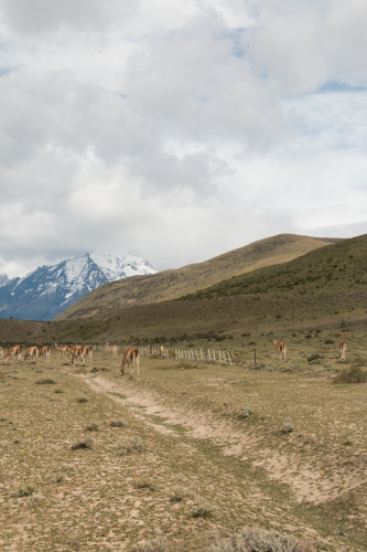 Torres del Paine, Chile