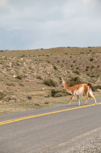 Torres del Paine, Chile