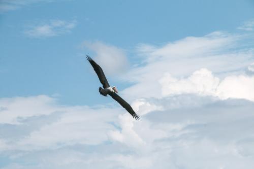 IMG 4021