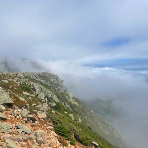 6EBCF169-7169-4AC2-9CE1-88A930F2E5DD