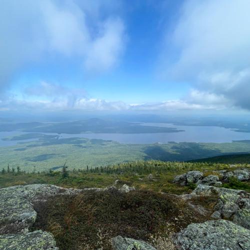 8CA1F1E1-D95F-4194-A5A0-66034DB0EDA9