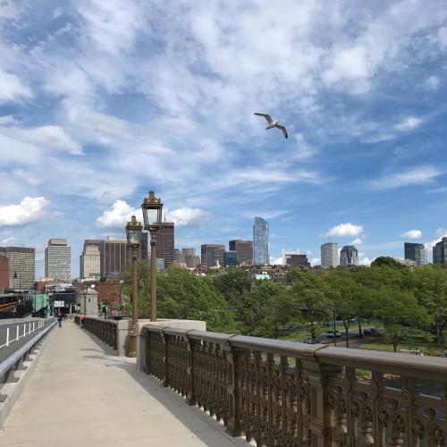 A5282B2D-1F31-406F-872D-42365ED91751