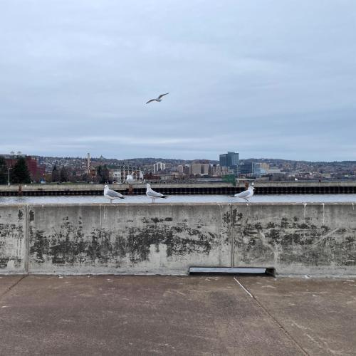 63969C9C-BAAF-4F65-9125-E8D08C68B701