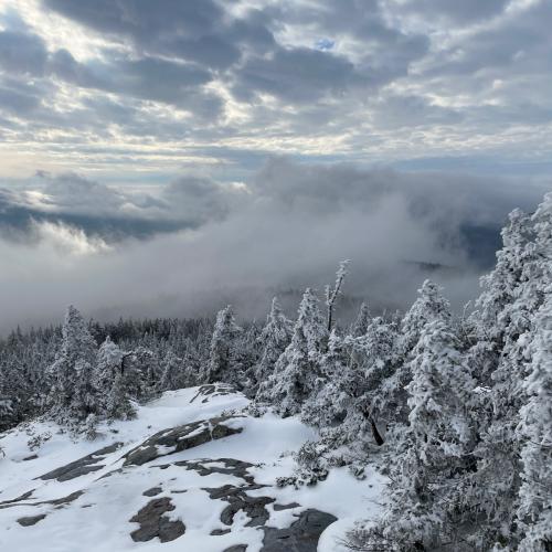 3B2028C9-5E4B-420C-9784-AEECA83E4518