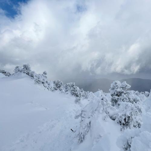 C32C6DBD-97C0-4046-90E5-7B6D3C161503