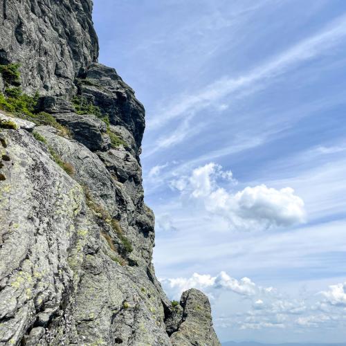 4D91748B-7C50-483F-B4D4-87AE883C72D4