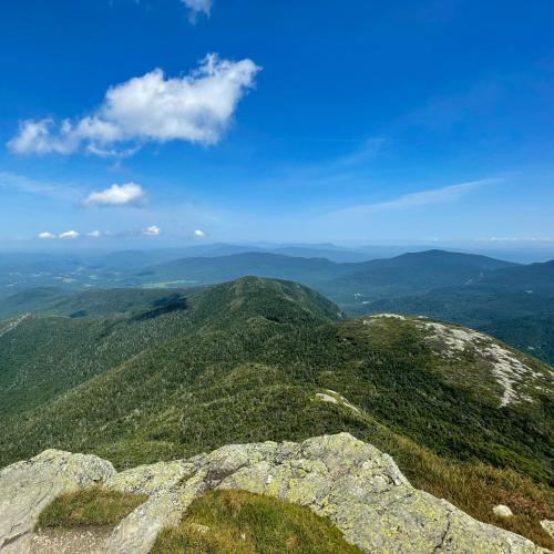 91DC9A96-0E11-4554-BB80-AB9A5372A399