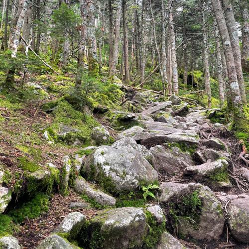 CE846C61-2A76-4DE5-BC0C-F60FA0E4EA96